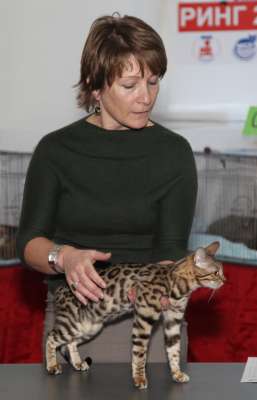 �������� ����� '������� ���-�����' 30 ������-1 ������� 2013., WCF-����� 2949